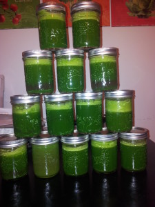 Here is one of my first batches of green juice.