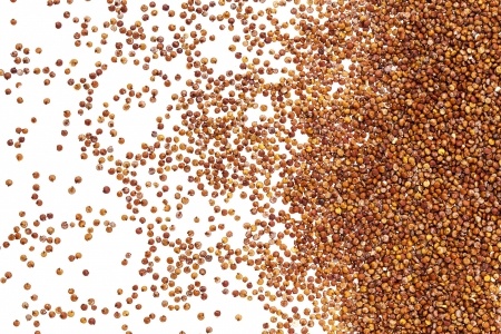 quinoa2