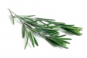 rosemary